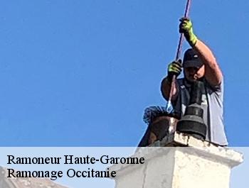 Ramoneur 31 Haute-Garonne Lamberger ramonage