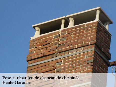 Pose et répartion de chapeau de cheminée Haute-Garonne 