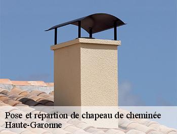 Pose et répartion de chapeau de cheminée Haute-Garonne 