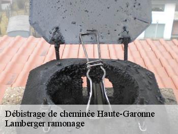 Débistrage de cheminée 31 Haute-Garonne  Lamberger ramonage