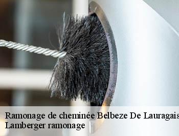 Ramonage de cheminée  belbeze-de-lauragais-31450 Lamberger ramonage