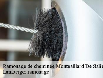 Ramonage de cheminée  montgaillard-de-salies-31260 Lamberger ramonage