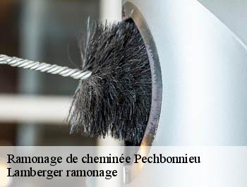 Ramonage de cheminée  pechbonnieu-31140 Lamberger ramonage