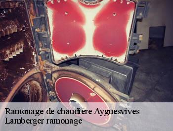 Ramonage de chaudière  ayguesvives-31450 Lamberger ramonage