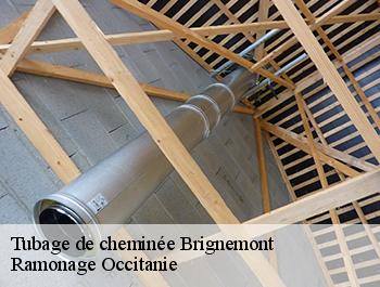 Tubage de cheminée brignemont-31480 Ramonage Occitanie