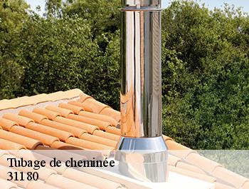 Tubage de cheminée 31180