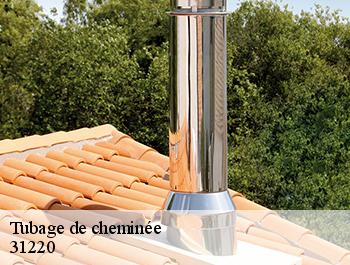 Tubage de cheminée 31220