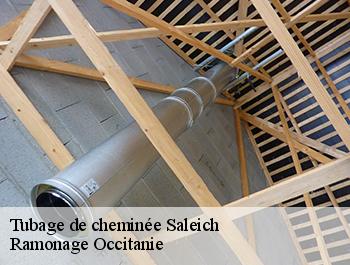 Tubage de cheminée saleich-31260 Ramonage Occitanie