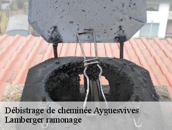 Débistrage de cheminée  ayguesvives-31450 Lamberger ramonage