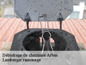 Débistrage de cheminée  arbas-31160 Lamberger ramonage
