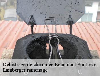 Débistrage de cheminée  beaumont-sur-leze-31870 Lamberger ramonage