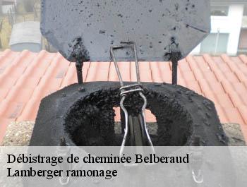 Débistrage de cheminée  belberaud-31450 Lamberger ramonage
