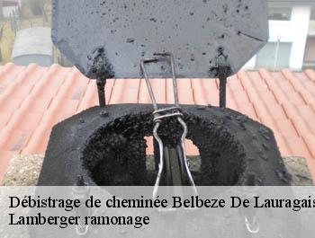Débistrage de cheminée  belbeze-de-lauragais-31450 Lamberger ramonage
