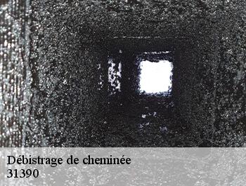 Débistrage de cheminée 31390