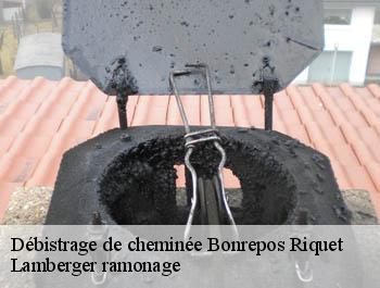 Débistrage de cheminée  bonrepos-riquet-31590 Lamberger ramonage