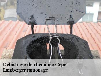 Débistrage de cheminée  cepet-31620 Lamberger ramonage