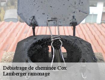 Débistrage de cheminée  cox-31480 Lamberger ramonage