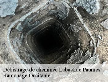 Débistrage de cheminée labastide-paumes-31230 Ramonage Occitanie