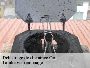 Débistrage de cheminée  oo-31110 Lamberger ramonage