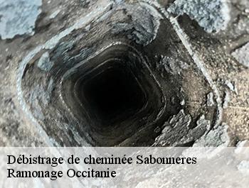 Débistrage de cheminée sabonneres-31370 Ramonage Occitanie