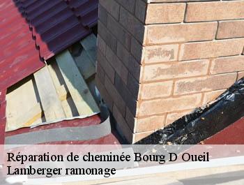 Réparation de cheminée  bourg-d-oueil-31110 Lamberger ramonage