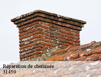 Réparation de cheminée 31450
