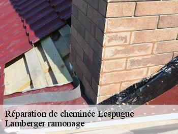 Réparation de cheminée  lespugue-31350 Lamberger ramonage