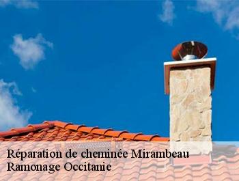 Réparation de cheminée mirambeau-31230 Ramonage Occitanie