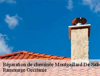 Réparation de cheminée montgaillard-de-salies-31260 Ramonage Occitanie