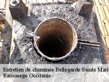 Entretien de cheminée bellegarde-sainte-marie-31530 Ramonage Occitanie