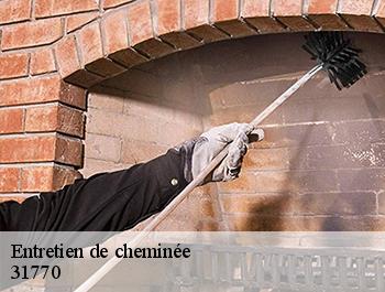 Entretien de cheminée 31770