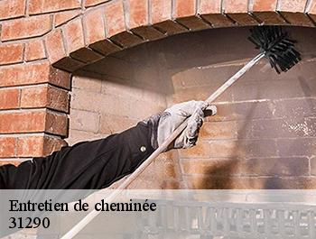 Entretien de cheminée 31290